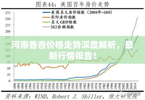 河南香杏價格走勢深度解析，最新行情報告！